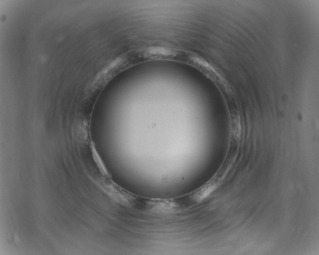 X0000072990621200607211200