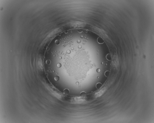 X0000072990622200607211200