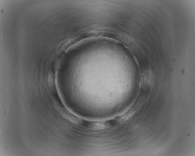 X0000072990623200607211200