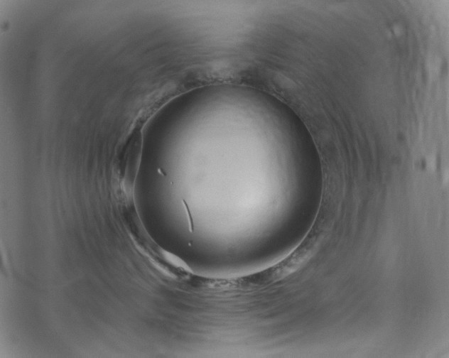 X0000072990624200607211200