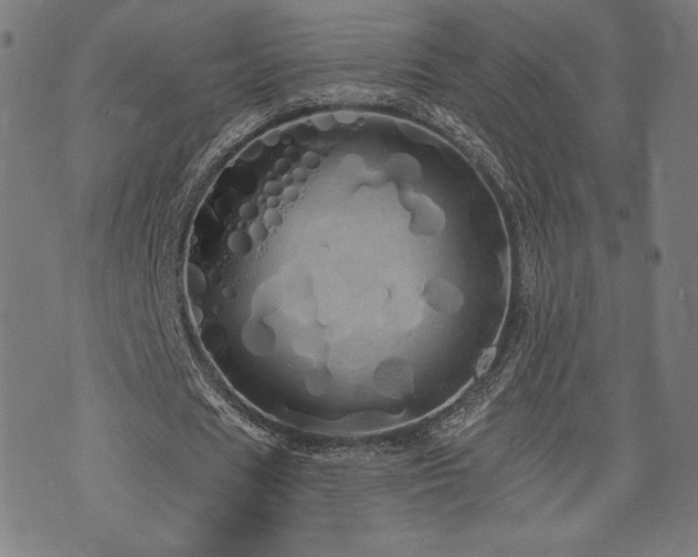 X0000072990625200607211159