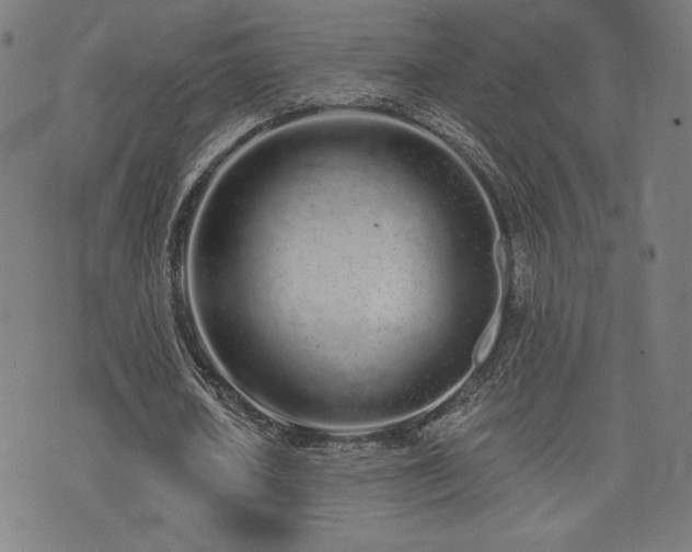 X0000072990626200607211159