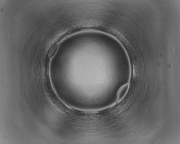 X0000072990627200607211159