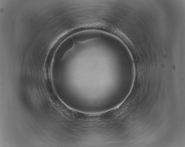 X0000072990628200607211159