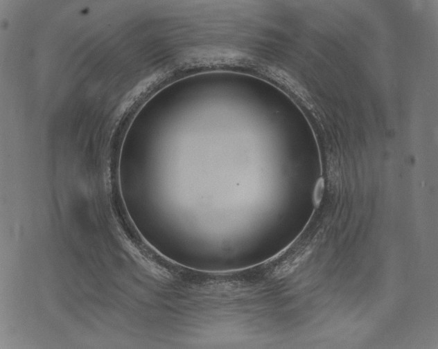 X0000072990629200607211159