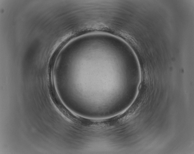 X0000072990630200607211159