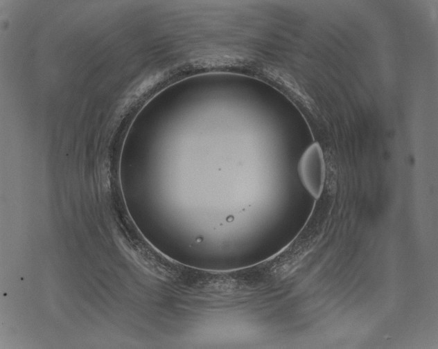 X0000072990631200607211159