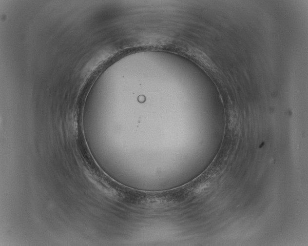 X0000072990632200607211159