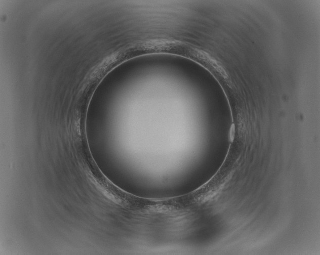 X0000072990633200607211159