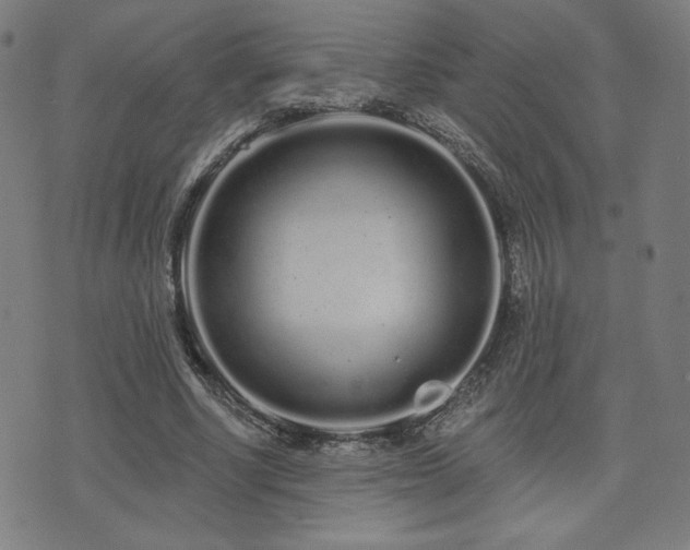 X0000072990634200607211159