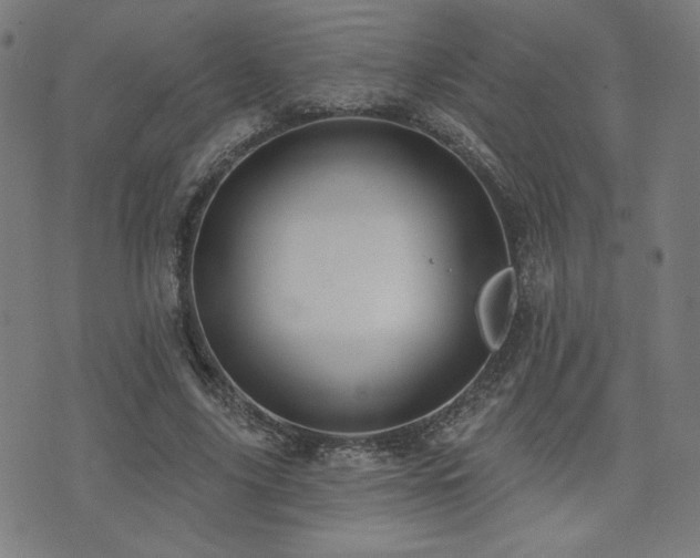 X0000072990635200607211159