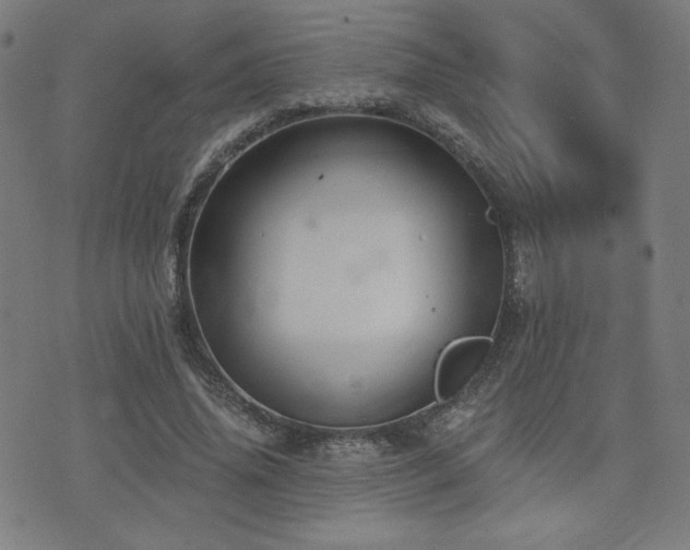 X0000072990636200607211200