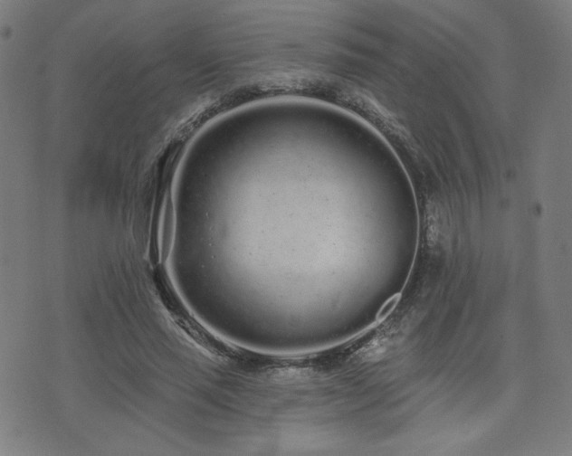 X0000072990637200607211200