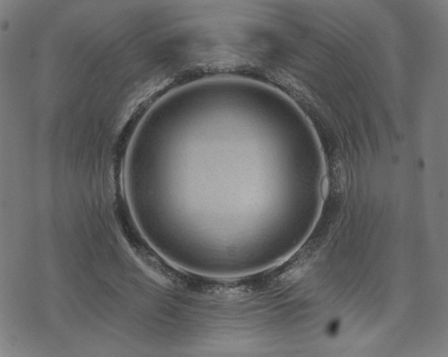 X0000072990638200607211200