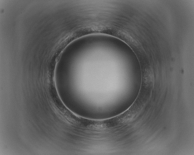 X0000072990639200607211200