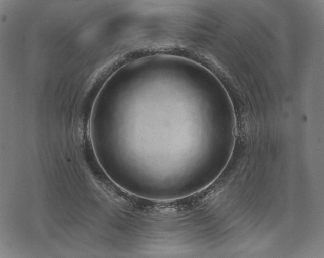 X0000072990640200607211200