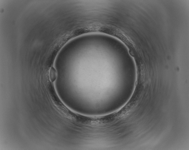 X0000072990641200607211200