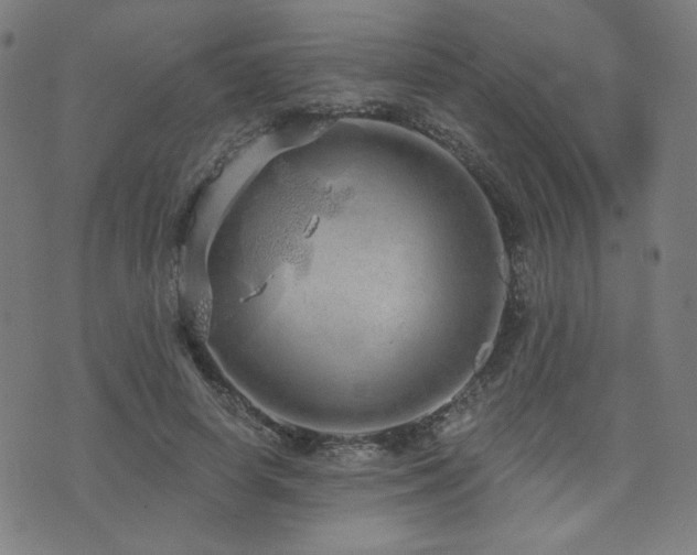 X0000072990642200607211200