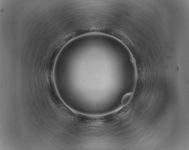 X0000072990643200607211200