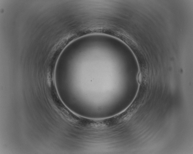 X0000072990644200607211200