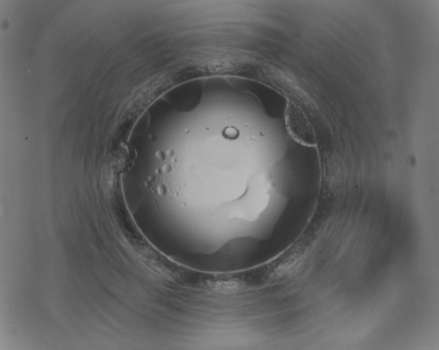 X0000072990645200607211200