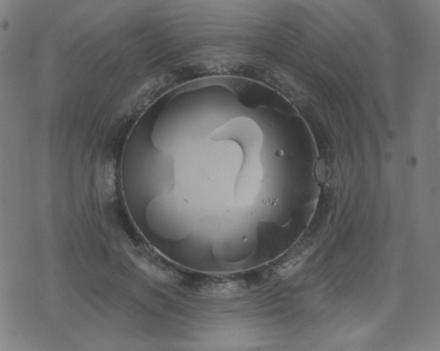 X0000072990646200607211200