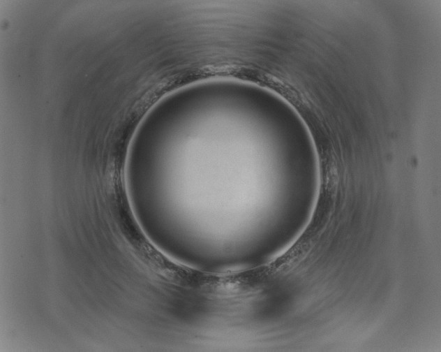 X0000072990647200607211200