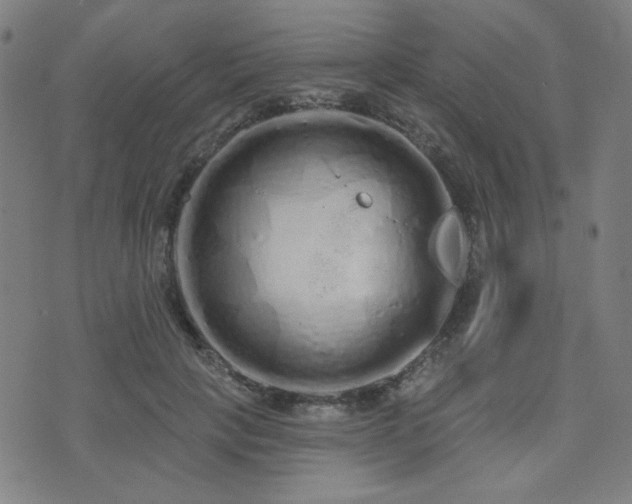 X0000072990649200607211200