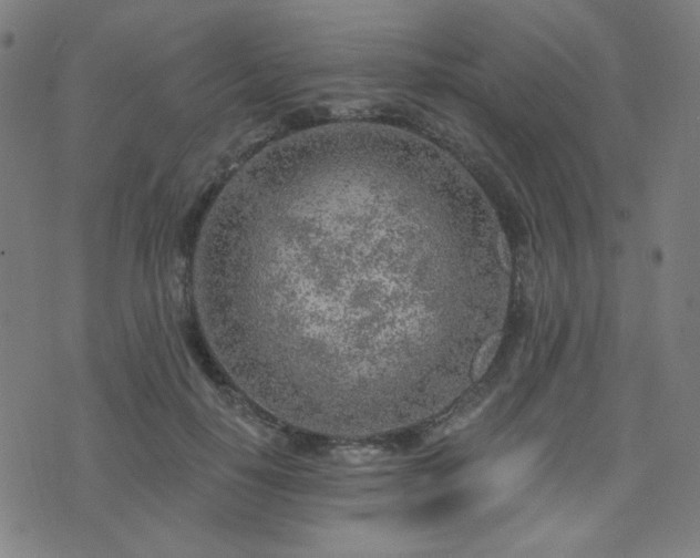 X0000072990650200607211200