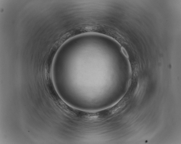 X0000072990651200607211200