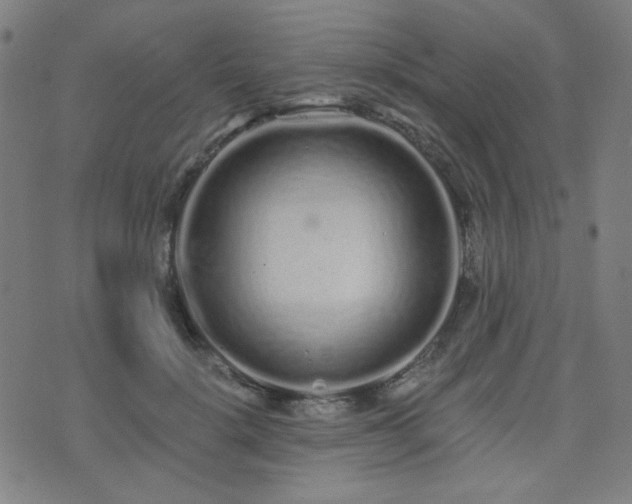 X0000072990652200607211200