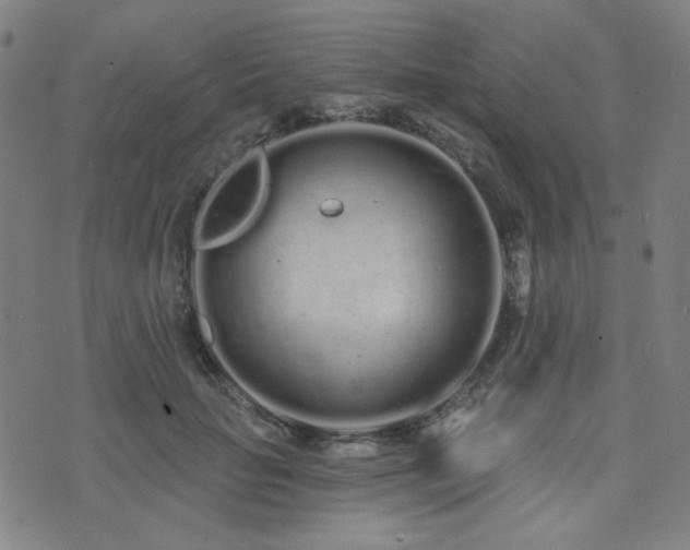 X0000072990653200607211200