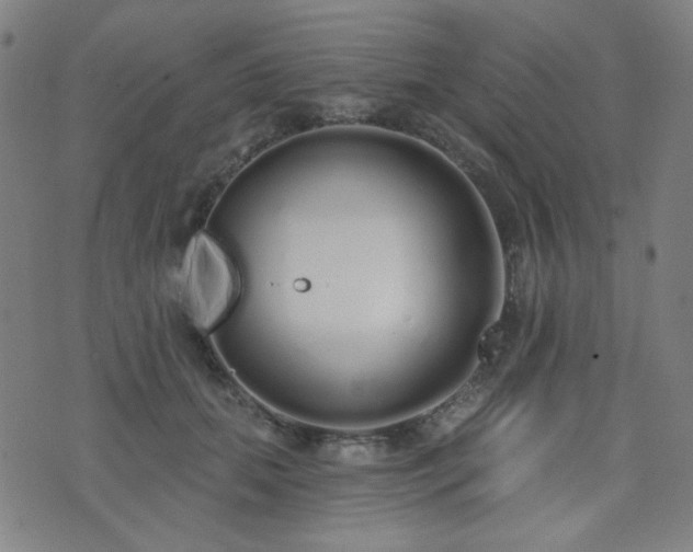 X0000072990655200607211200