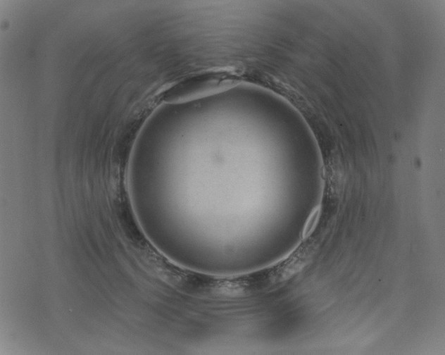 X0000072990656200607211200