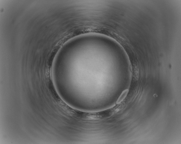 X0000072990657200607211200