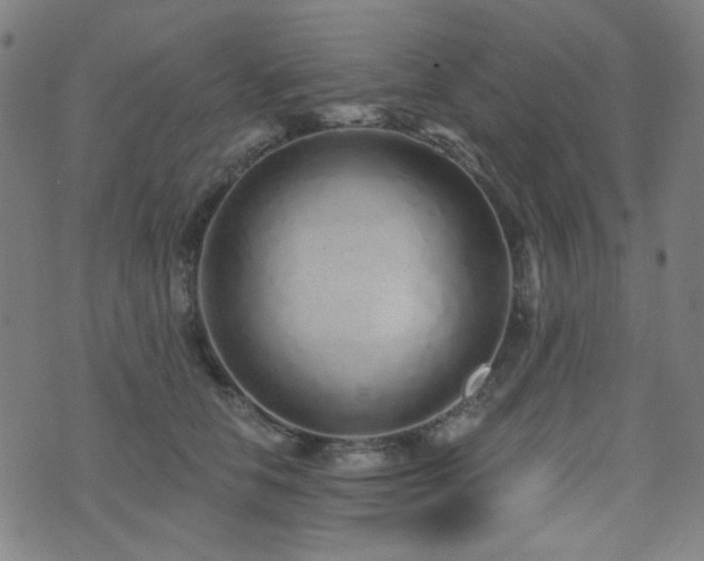 X0000072990658200607211200