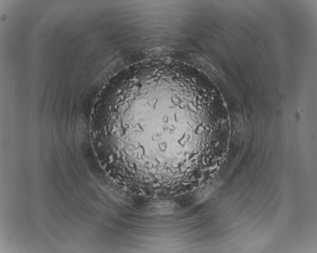 X0000072990659200607211200