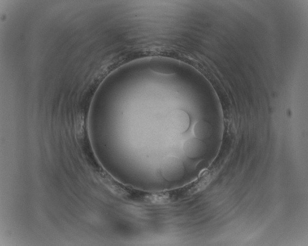 X0000072990660200607211200