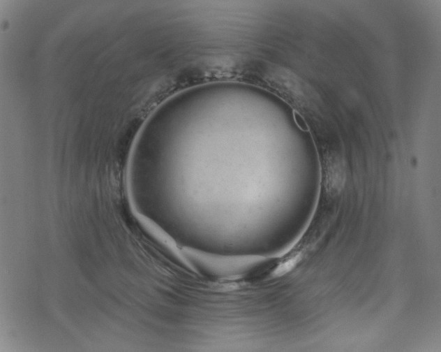 X0000072990661200607211200