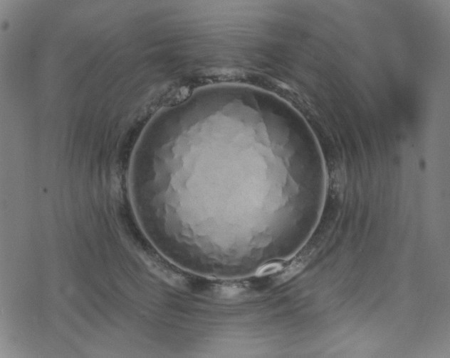 X0000072990662200607211200