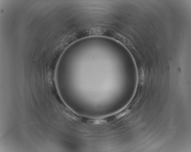 X0000072990663200607211200