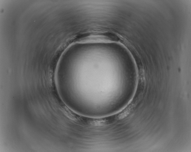 X0000072990664200607211200