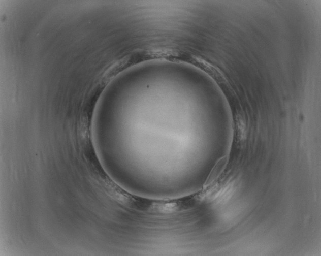 X0000072990665200607211200