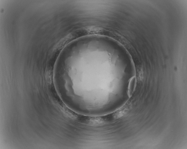 X0000072990666200607211200