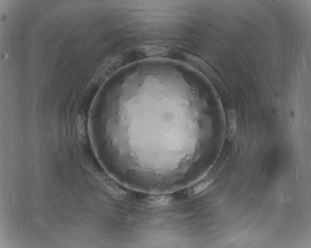 X0000072990667200607211200