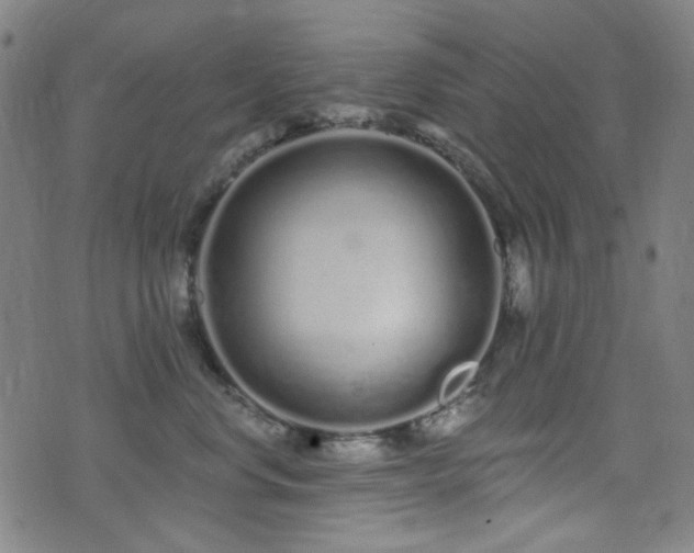 X0000072990668200607211200