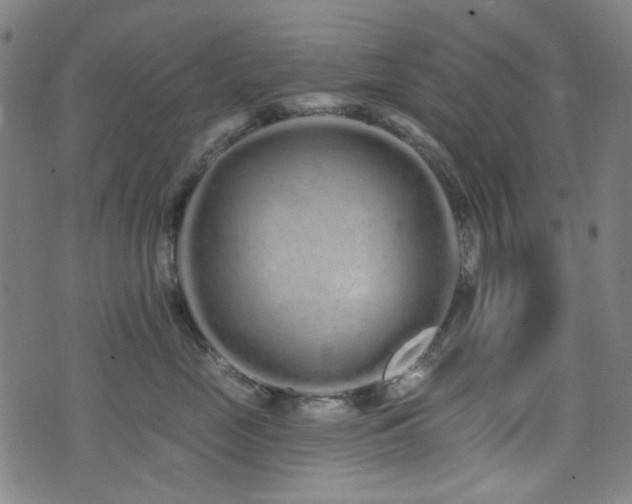 X0000072990669200607211200