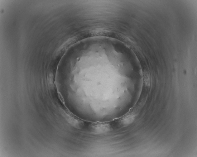 X0000072990670200607211200