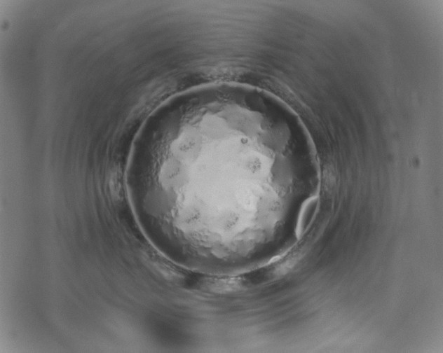 X0000072990671200607211200