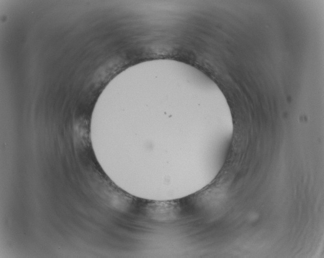 X0000072990672200607211200